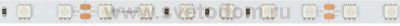 Лента RT 2-5000 24V Blue 2x (5060, 300 LED, LUX) Arlight 8819
