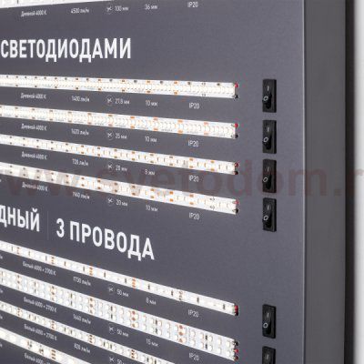 Стенд Ленты Линейного Света RT-LUX-E2-1760x600mm (DB 3мм, пленка, подсветка) Arlight 892