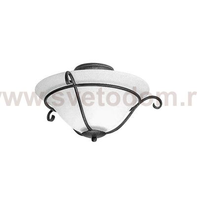 Потолочный светильник Natural concept TCH/F BLACK TORCHIERE