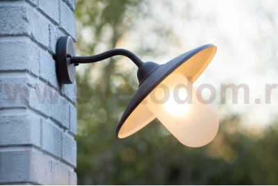 Настенный уличный светильник Lucide 11870/01/97 ARUBA