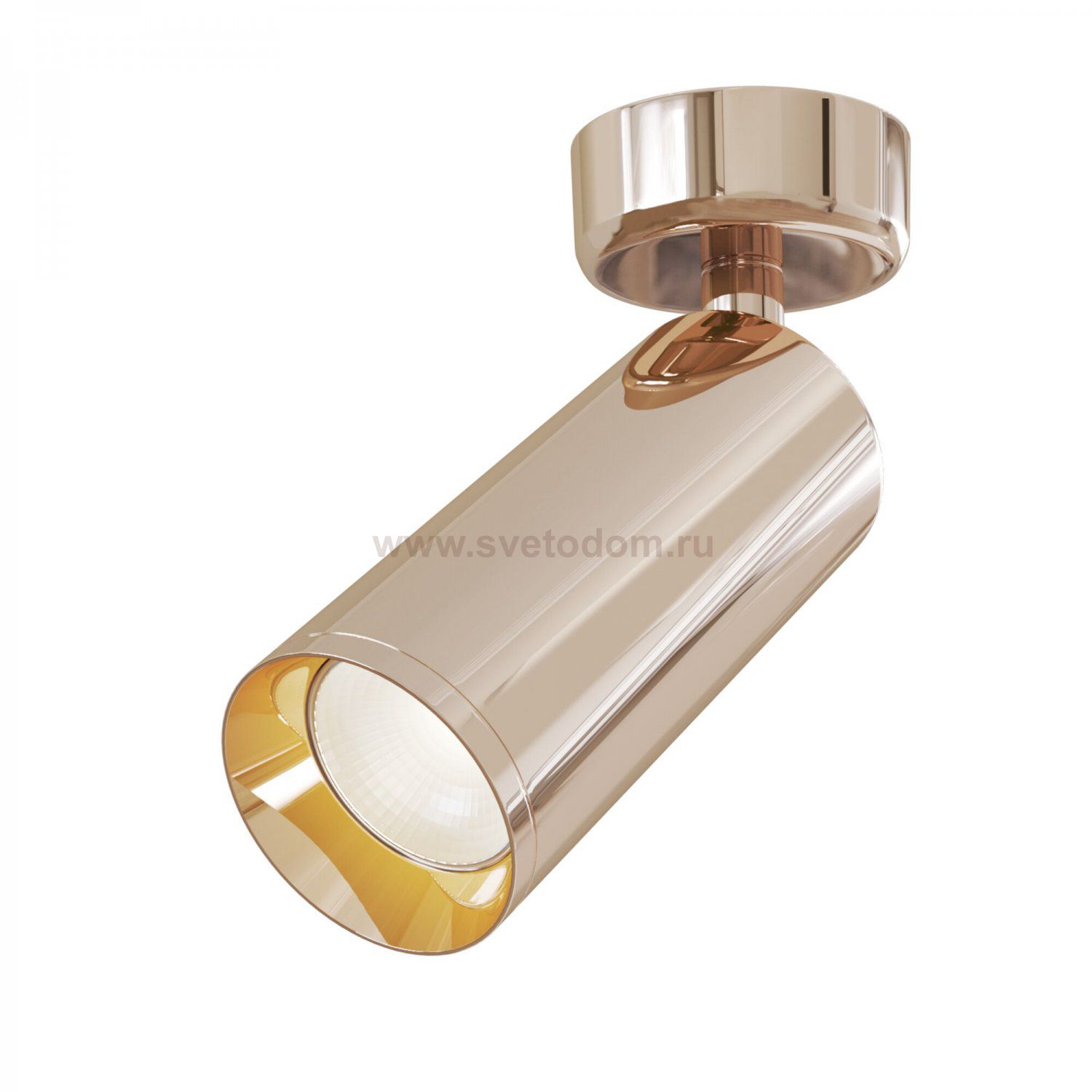 Потолочный светильник Maytoni C017CW-01RG Focus