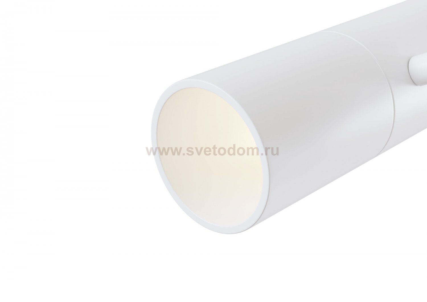 Потолочный светильник Maytoni C020CL-01W Elti