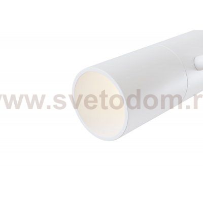 Потолочный светильник Maytoni C020CL-01W Elti