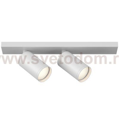 Потолочный светильник (Набор) Maytoni C051CL-2W FOCUS S