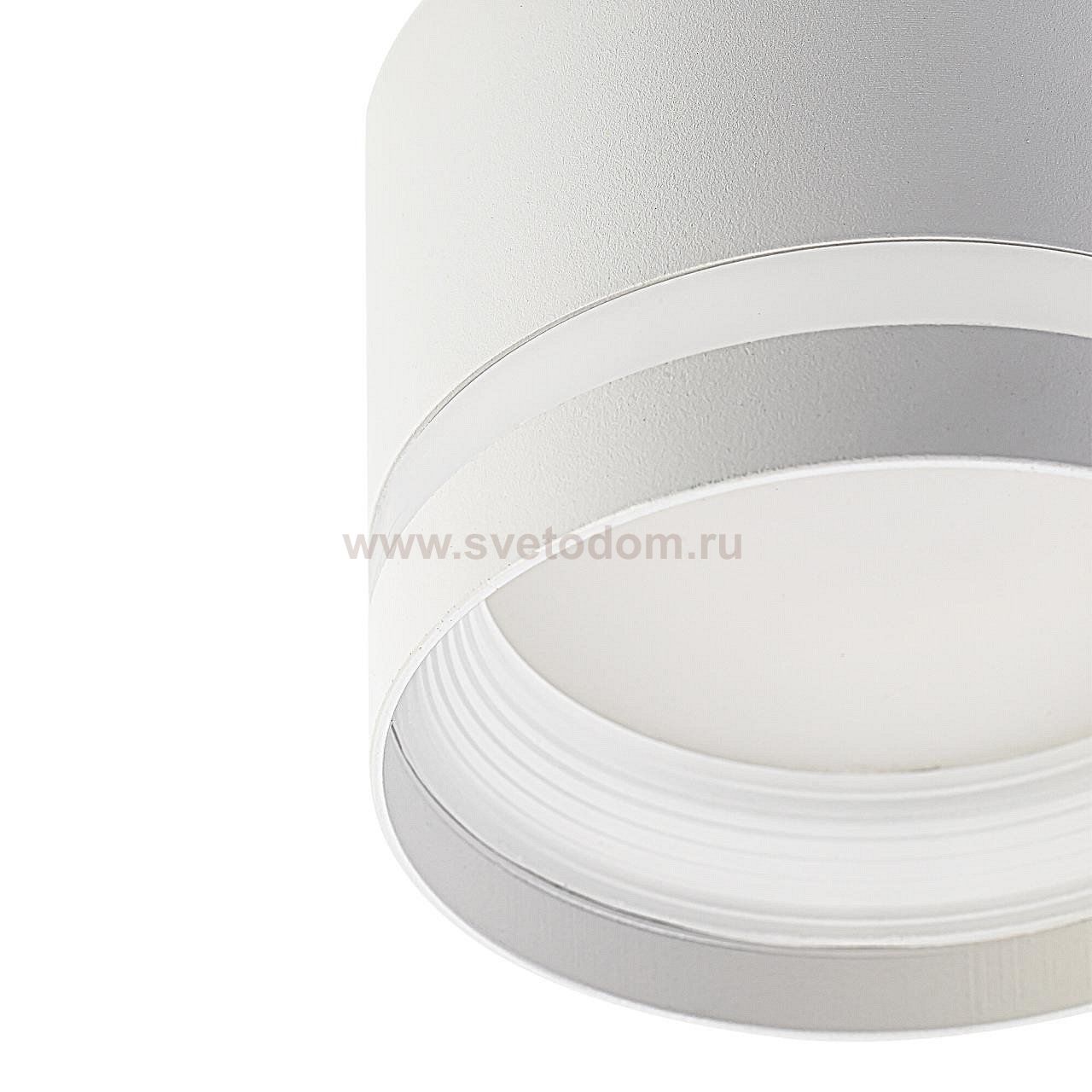 Светильник накладной Citilux CL002C10 Hardy