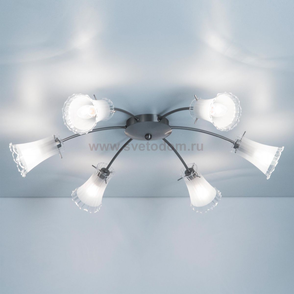 Люстра потолочная Citilux CL106161 Дана