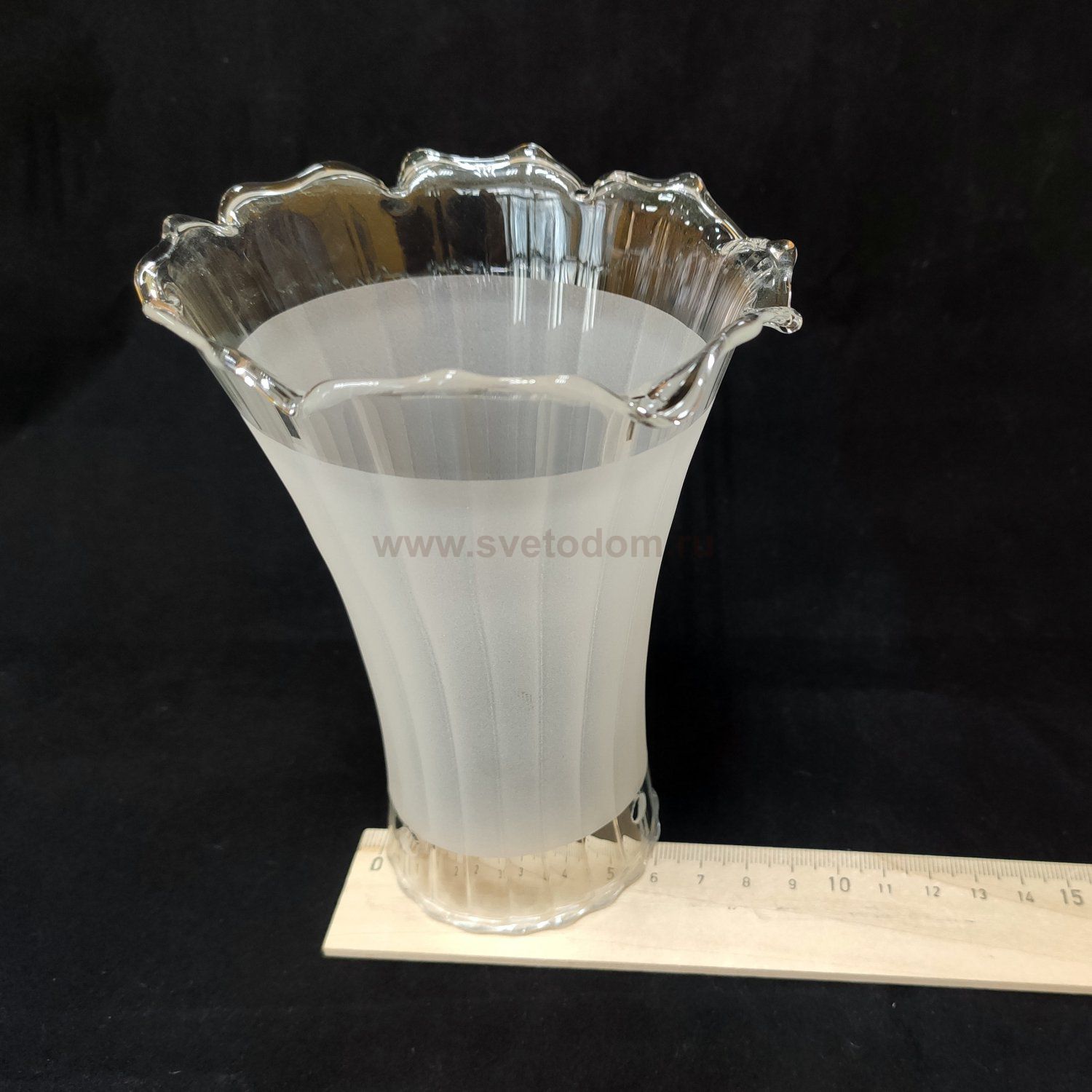 Люстра потолочная Citilux CL106161 Дана