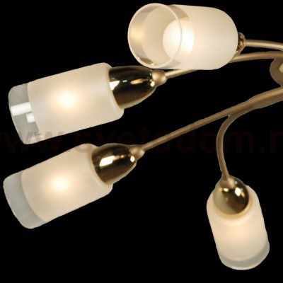 Люстра Citilux CL117182 Монтана