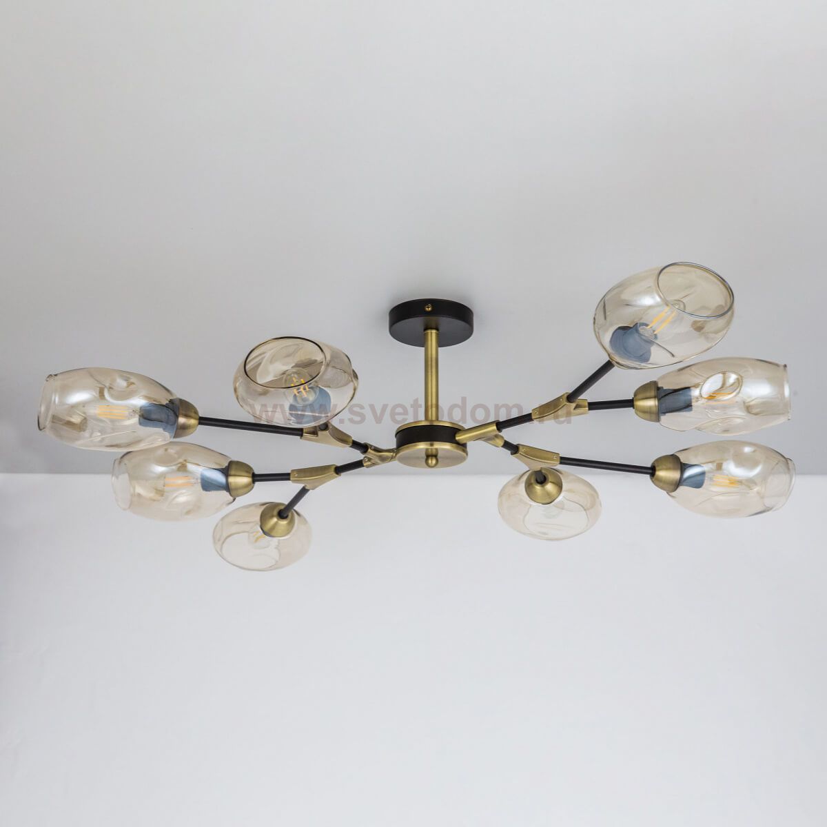 Люстра на штанге Citilux CL117185 Монтана