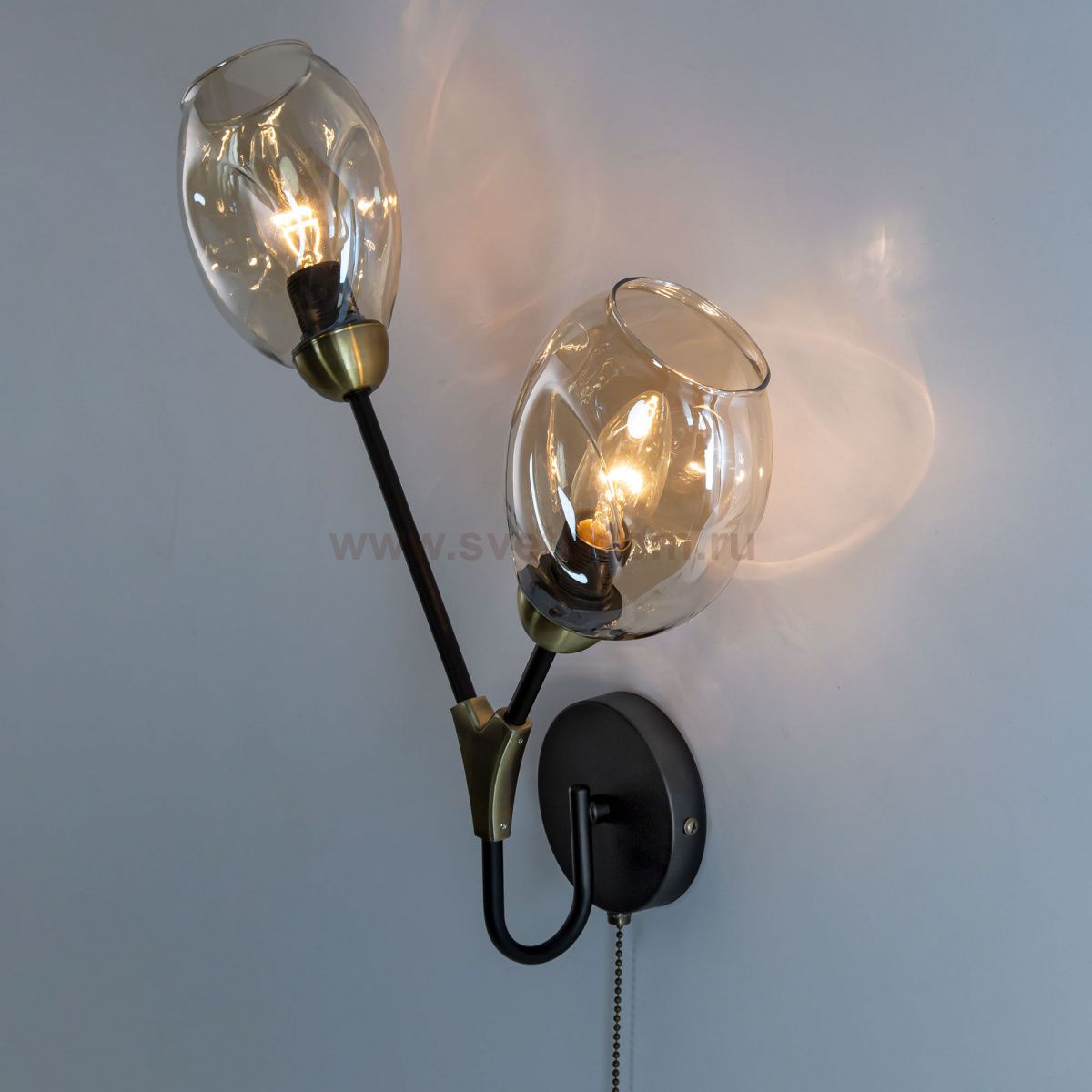 Светильник настенный бра Citilux CL117325 Монтана