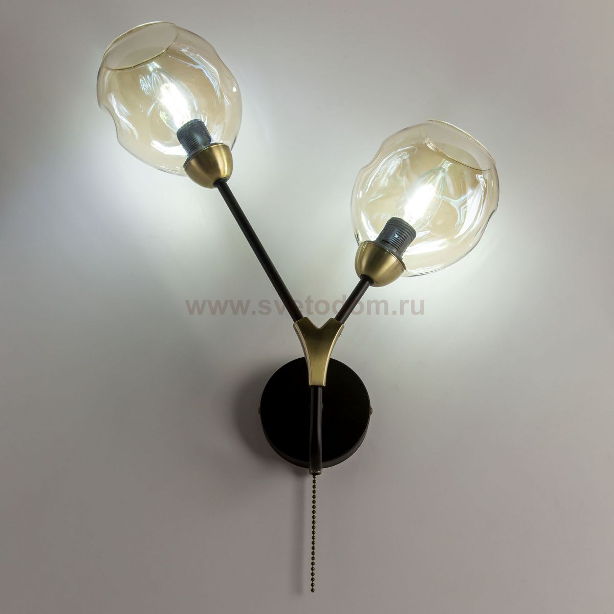 Светильник настенный бра Citilux CL117325 Монтана