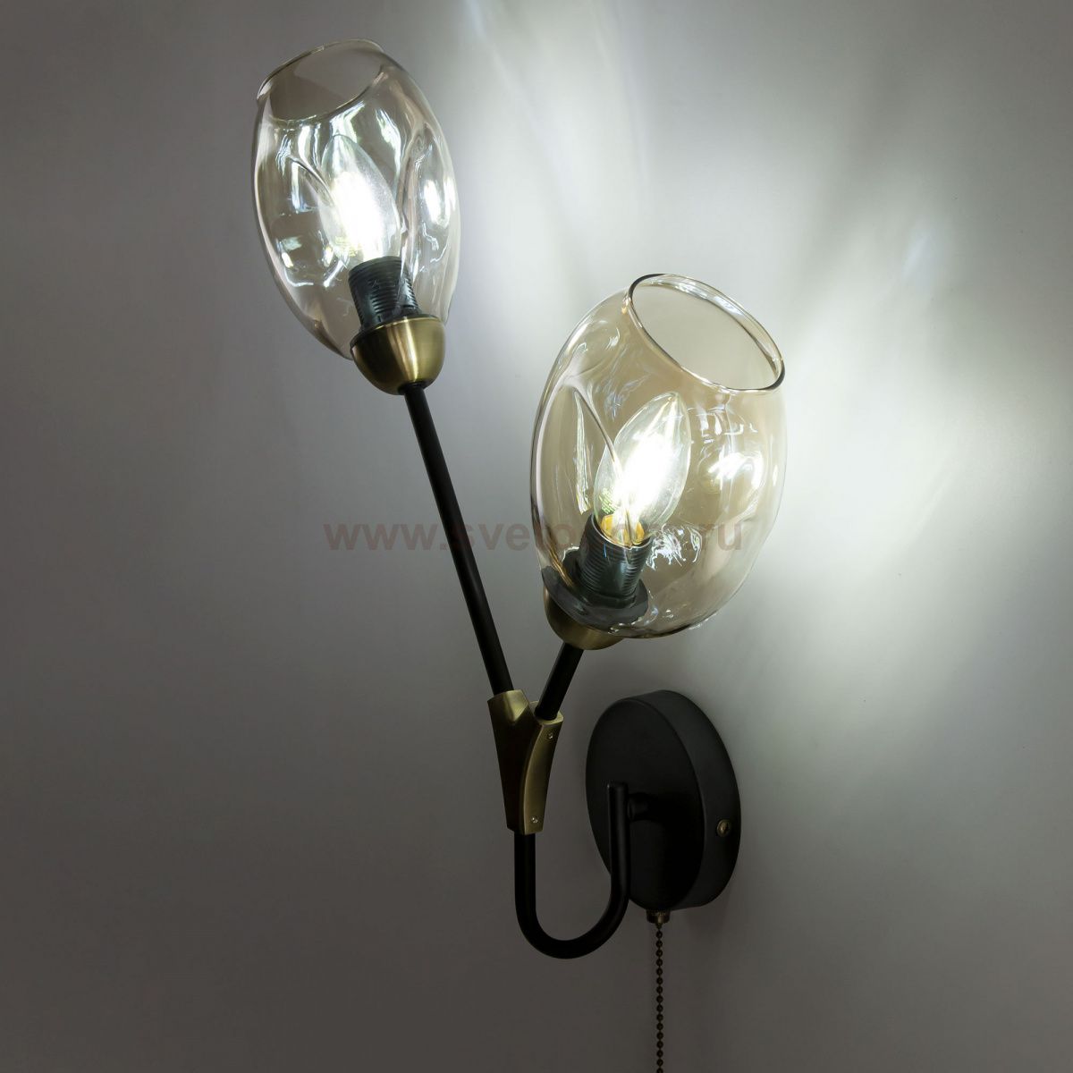 Светильник настенный бра Citilux CL117325 Монтана