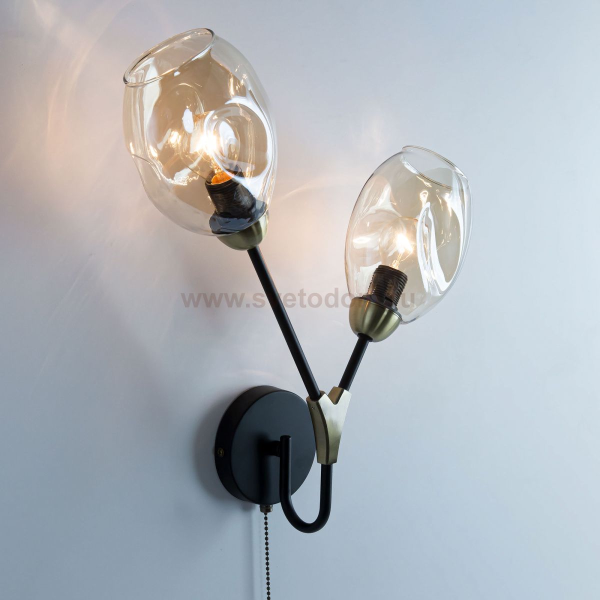 Светильник настенный бра Citilux CL117325 Монтана