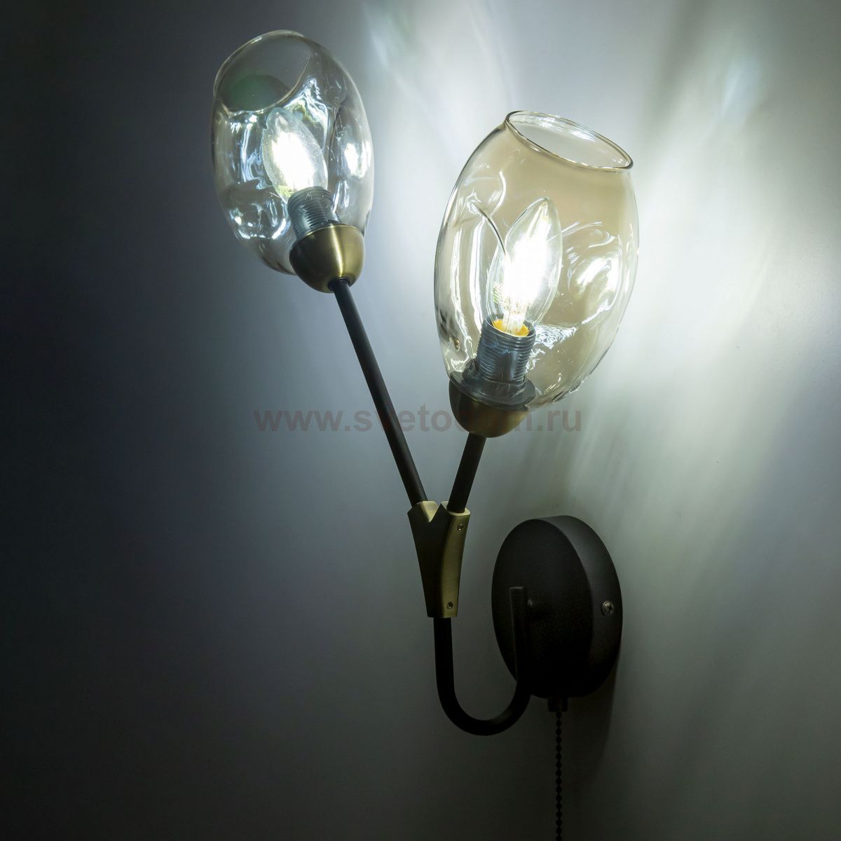 Светильник настенный бра Citilux CL117325 Монтана