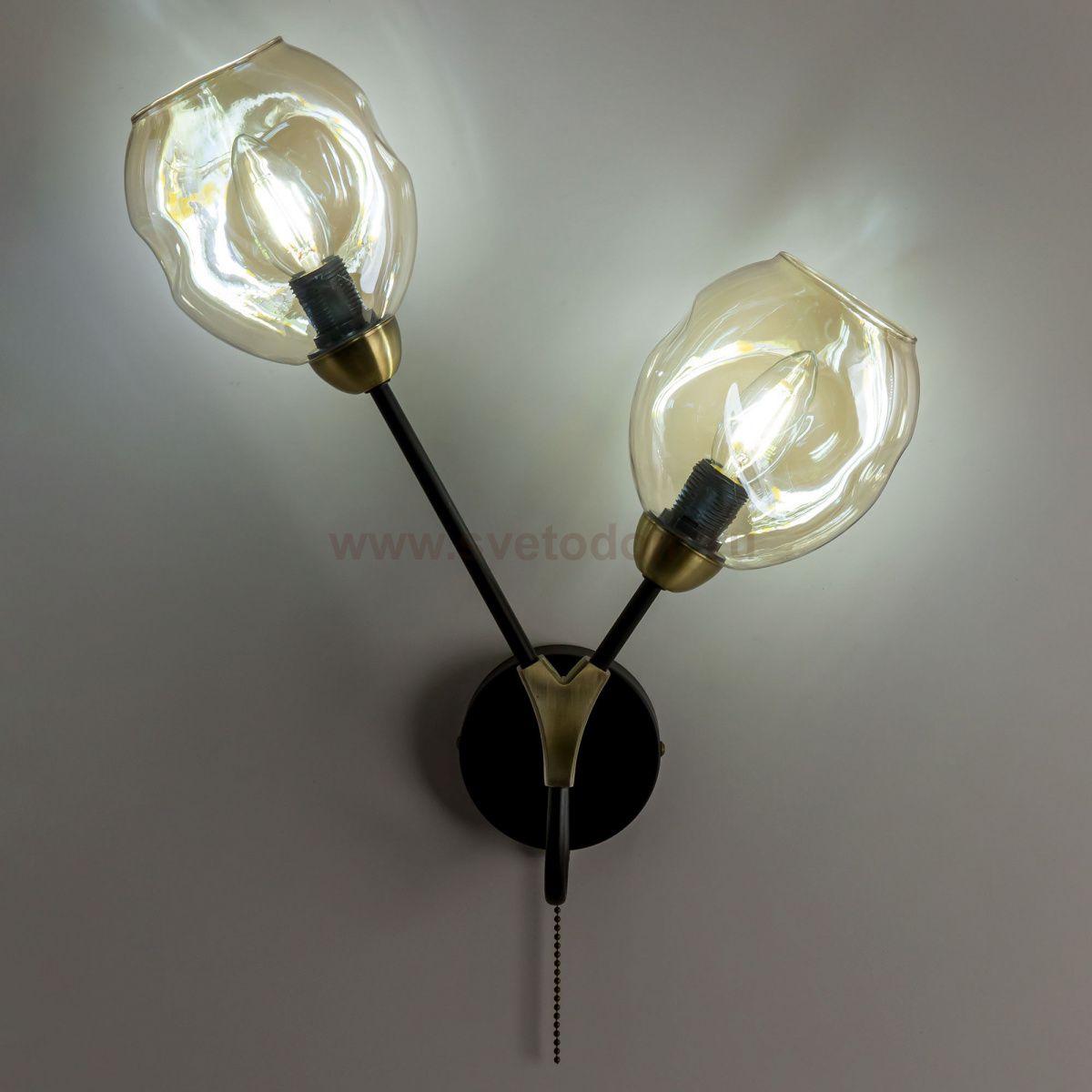 Светильник настенный бра Citilux CL117325 Монтана