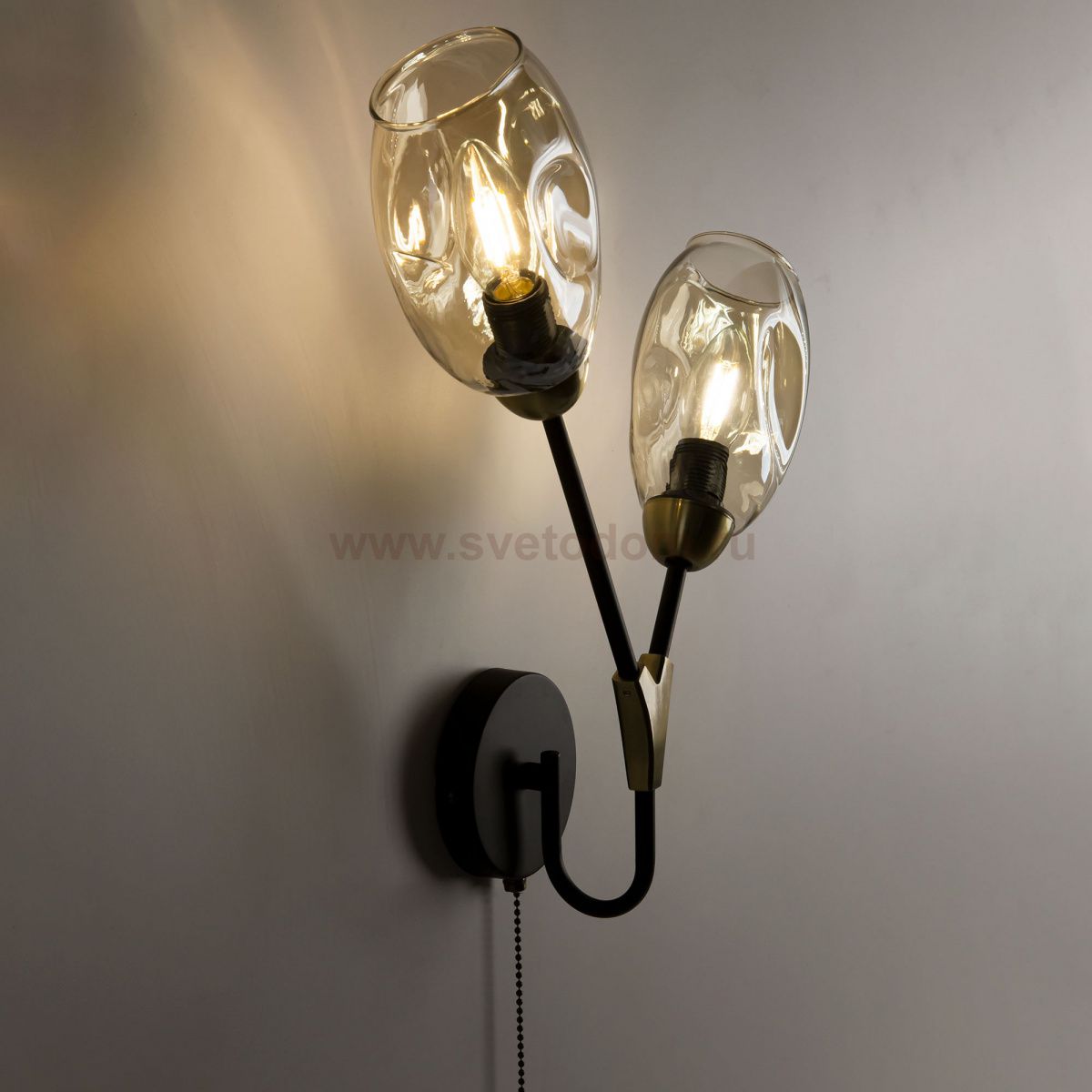 Светильник настенный бра Citilux CL117325 Монтана