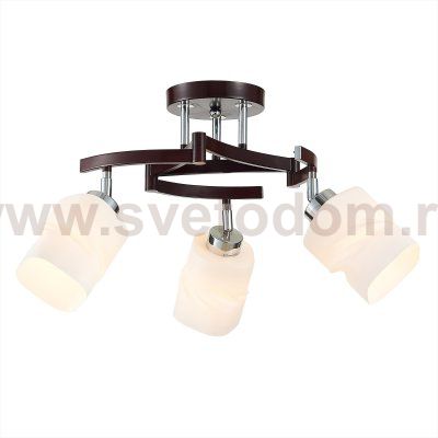 Люстра потолочная Citilux CL126132 Берта