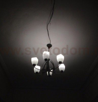 Люстра подвесная Citilux CL129161 Марго