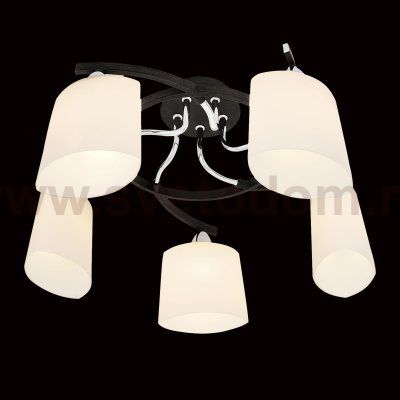 Люстра Citilux CL136151 Тайфун