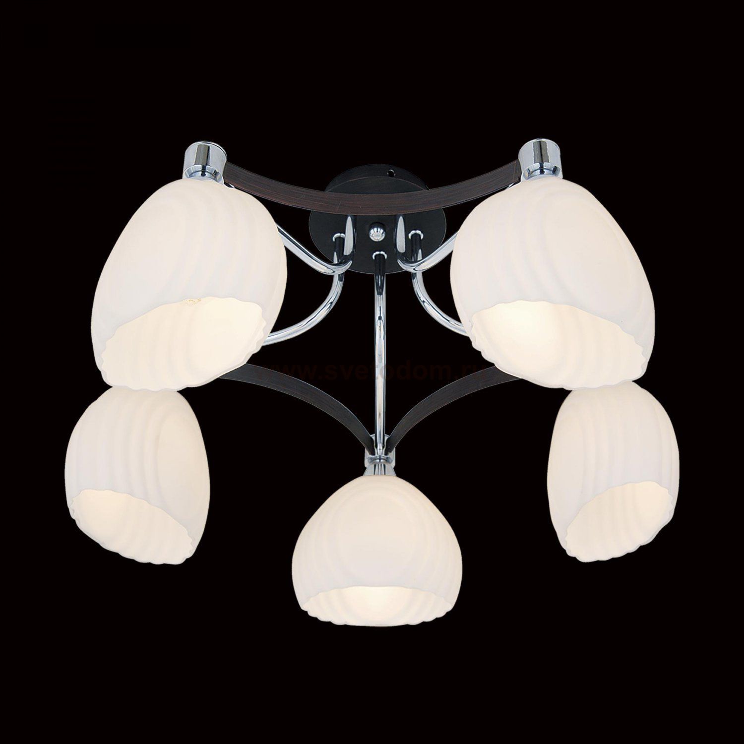 Люстра Citilux CL143151 Ирис