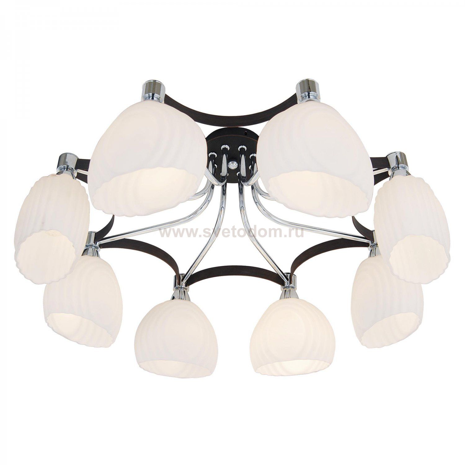 Люстра Citilux CL143181 Ирис