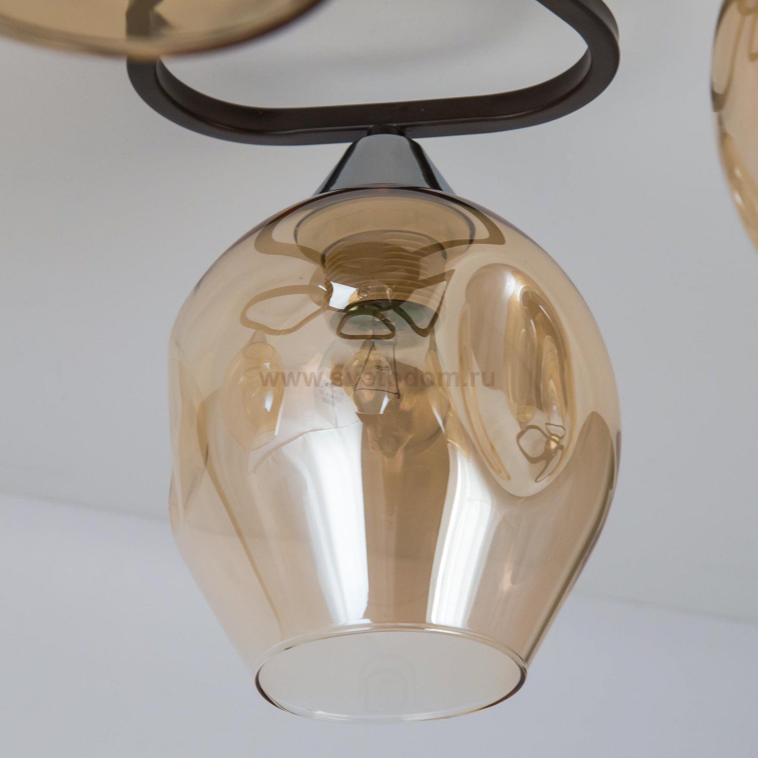 Люстра потолочная Citilux CL468141 Балатон