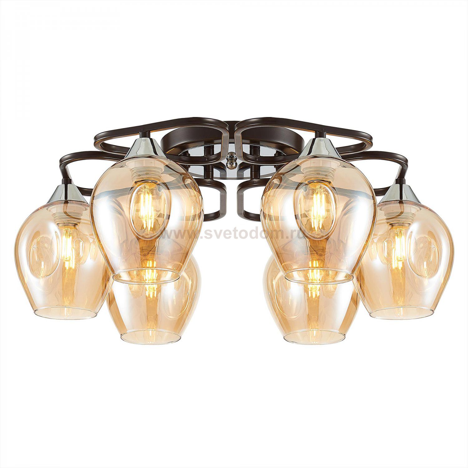 Люстра потолочная Citilux CL468161 Балатон