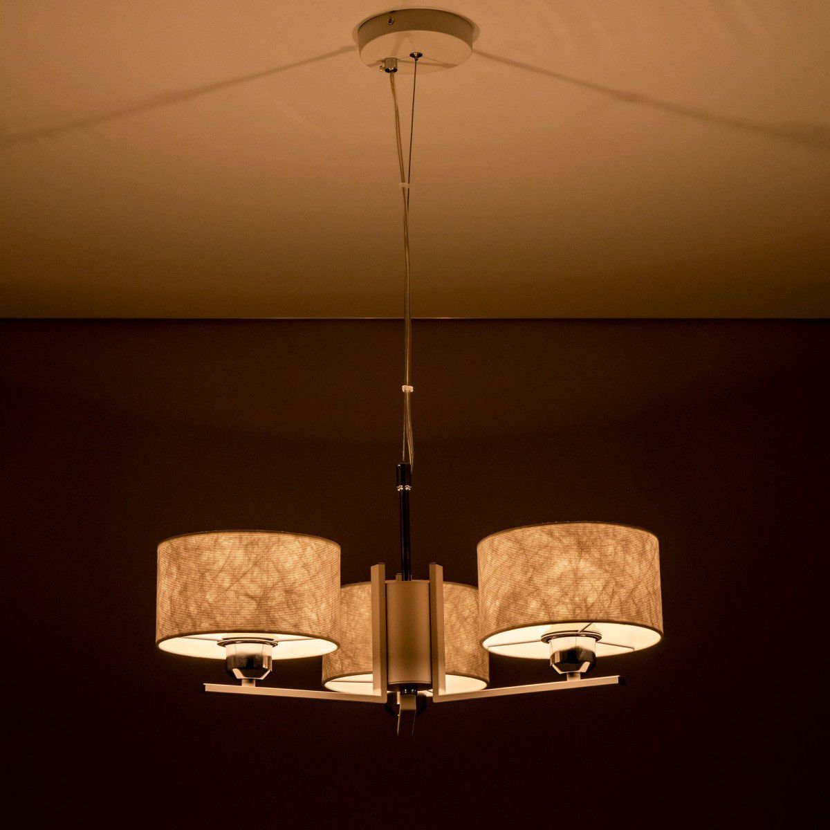 Люстра подвесная Citilux CL469130 Тильда