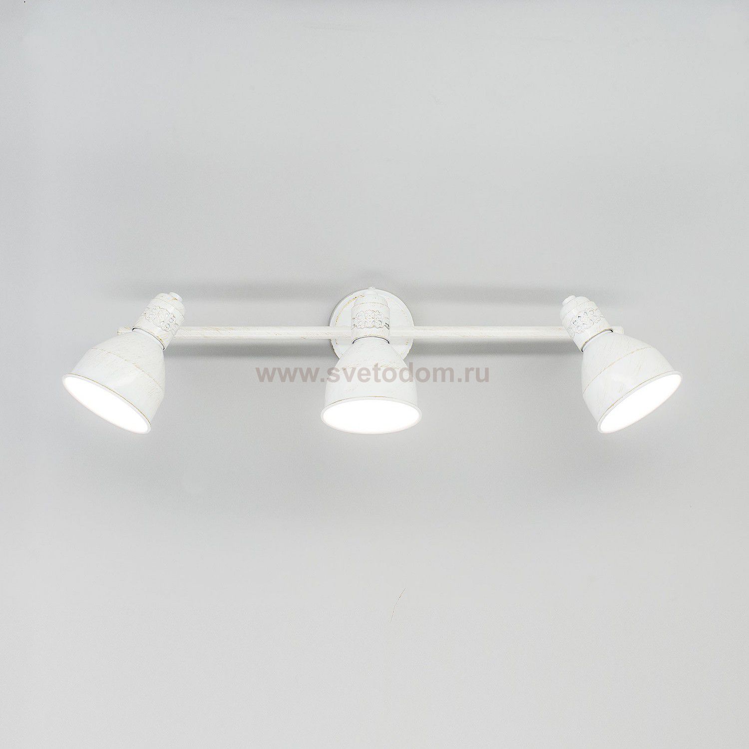 Светильник поворотный спот Citilux CL502533 Опус