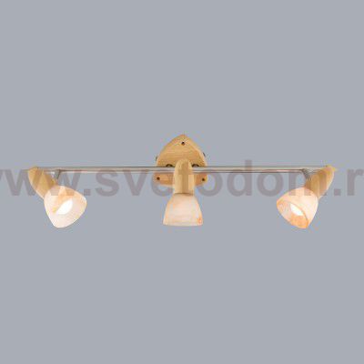 Светильник поворотный спот Citilux CL505531 Монте