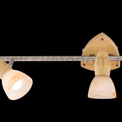 Светильник поворотный спот Citilux CL505531 Монте