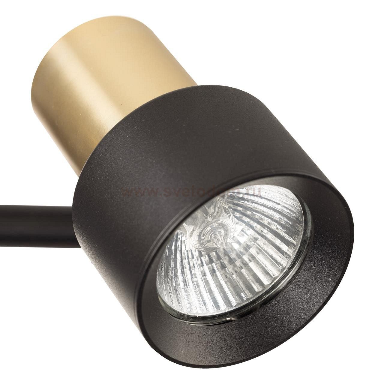 Спот поворотный Citilux CL505621 SAT