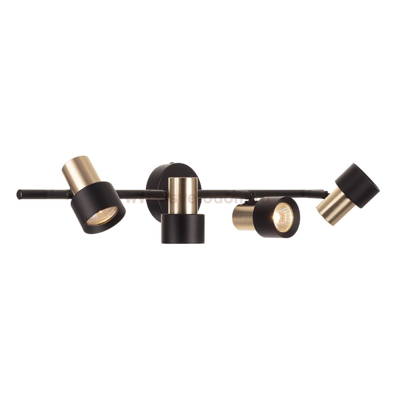 Спот поворотный Citilux CL505641 SAT