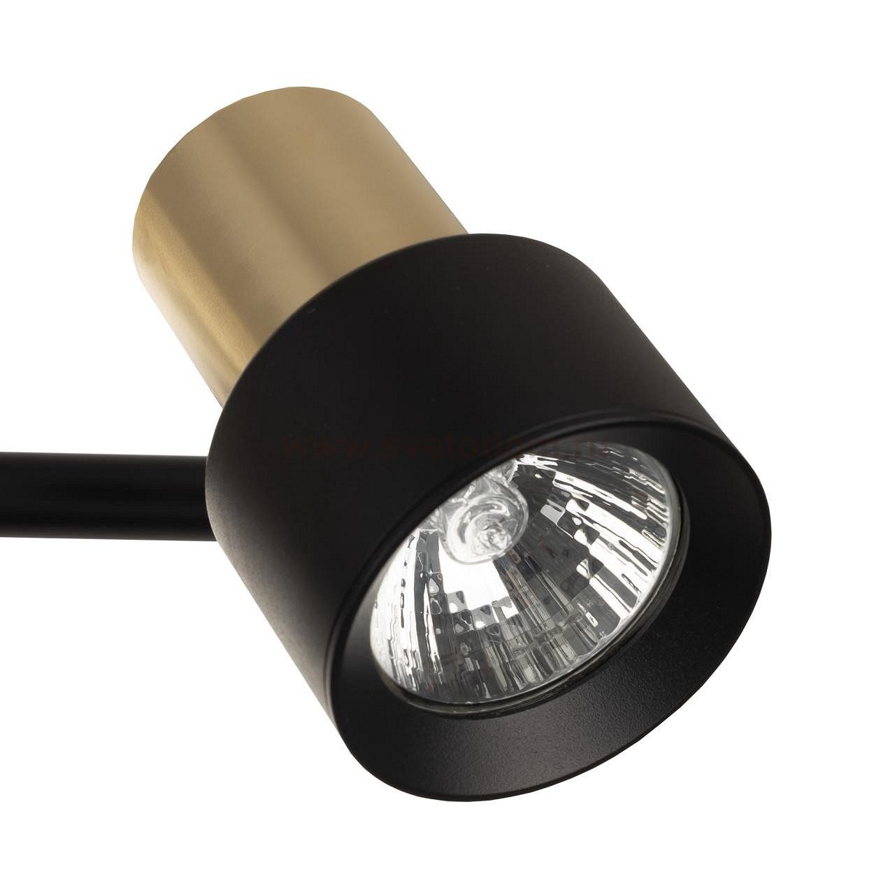 Спот поворотный Citilux CL505641 SAT