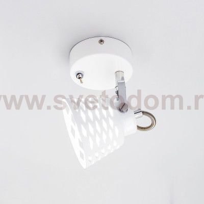 Светильник спот Citilux CL508510 Орегон