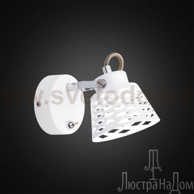 Светильник спот Citilux CL508510 Орегон