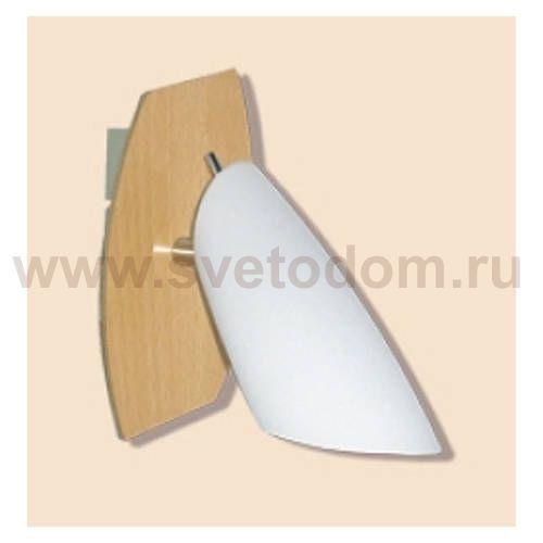 Светильник спот Citilux CL508511