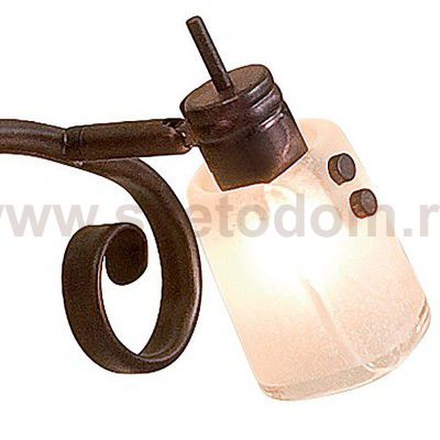 Светильник поворотный спот Citilux CL513521 Верона