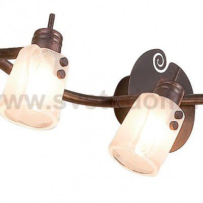 Светильник поворотный спот Citilux CL513541 Верона