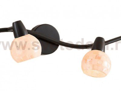 Светильник поворотный спот Citilux CL520545 Соната