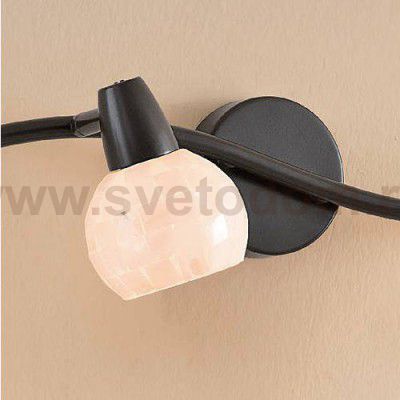 Светильник поворотный спот Citilux CL520545 Соната