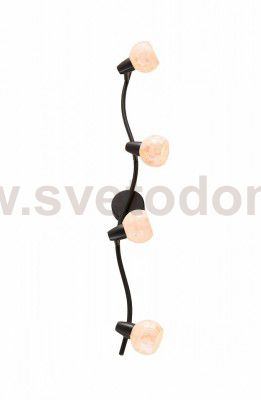 Светильник поворотный спот Citilux CL520545 Соната