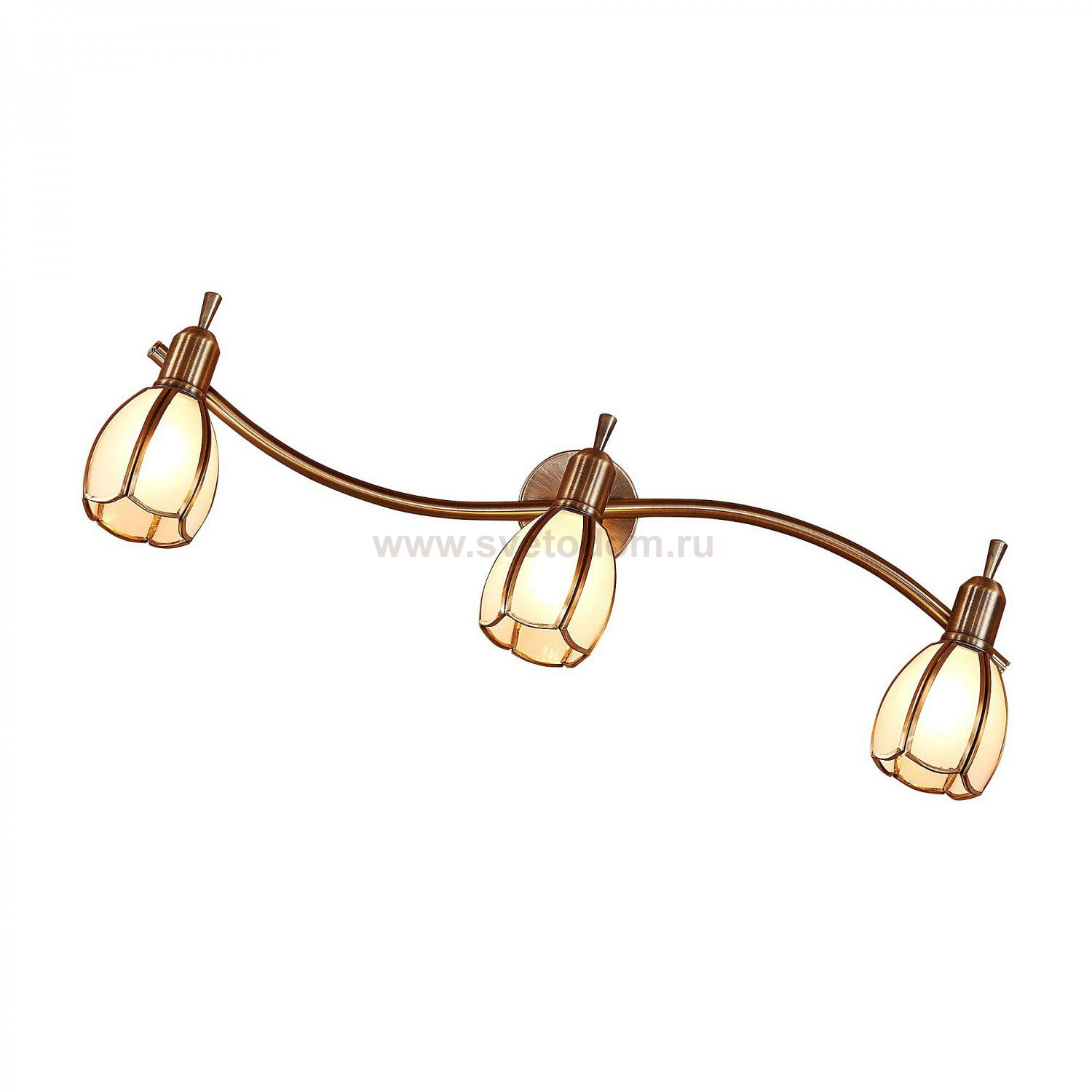 Светильник настенно-потолочный Citilux CL522631 Альтен-2