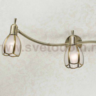 Светильник настенно-потолочный Citilux CL522631 Альтен-2