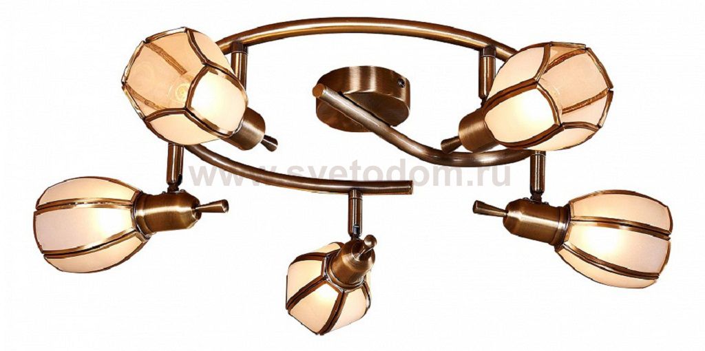 Светильник настенно-потолочный Citilux CL522651 Альтен-2