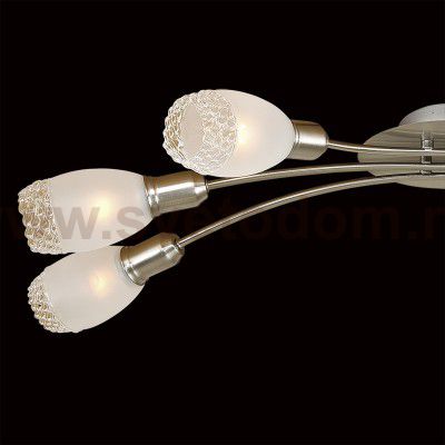 Люстра Citilux CL524161 Мери