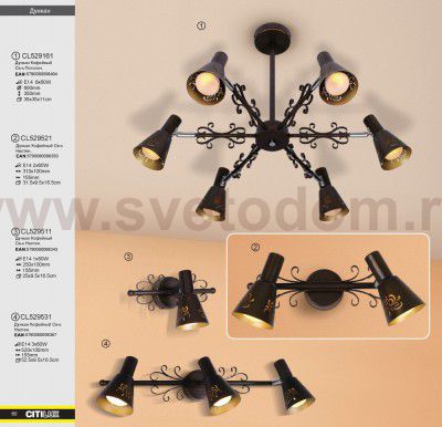 Светильник настенный бра Citilux CL529521 Дункан