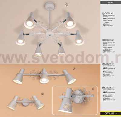 Светильник настенный бра Citilux CL529522 Дункан