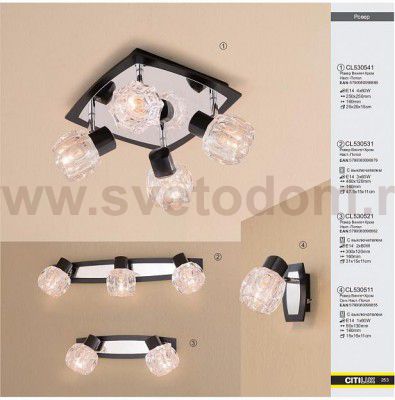 Светильник поворотный спот Citilux CL530511 Ровер
