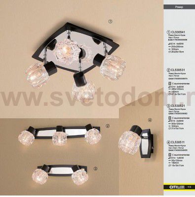 Светильник поворотный спот Citilux CL530521 Ровер